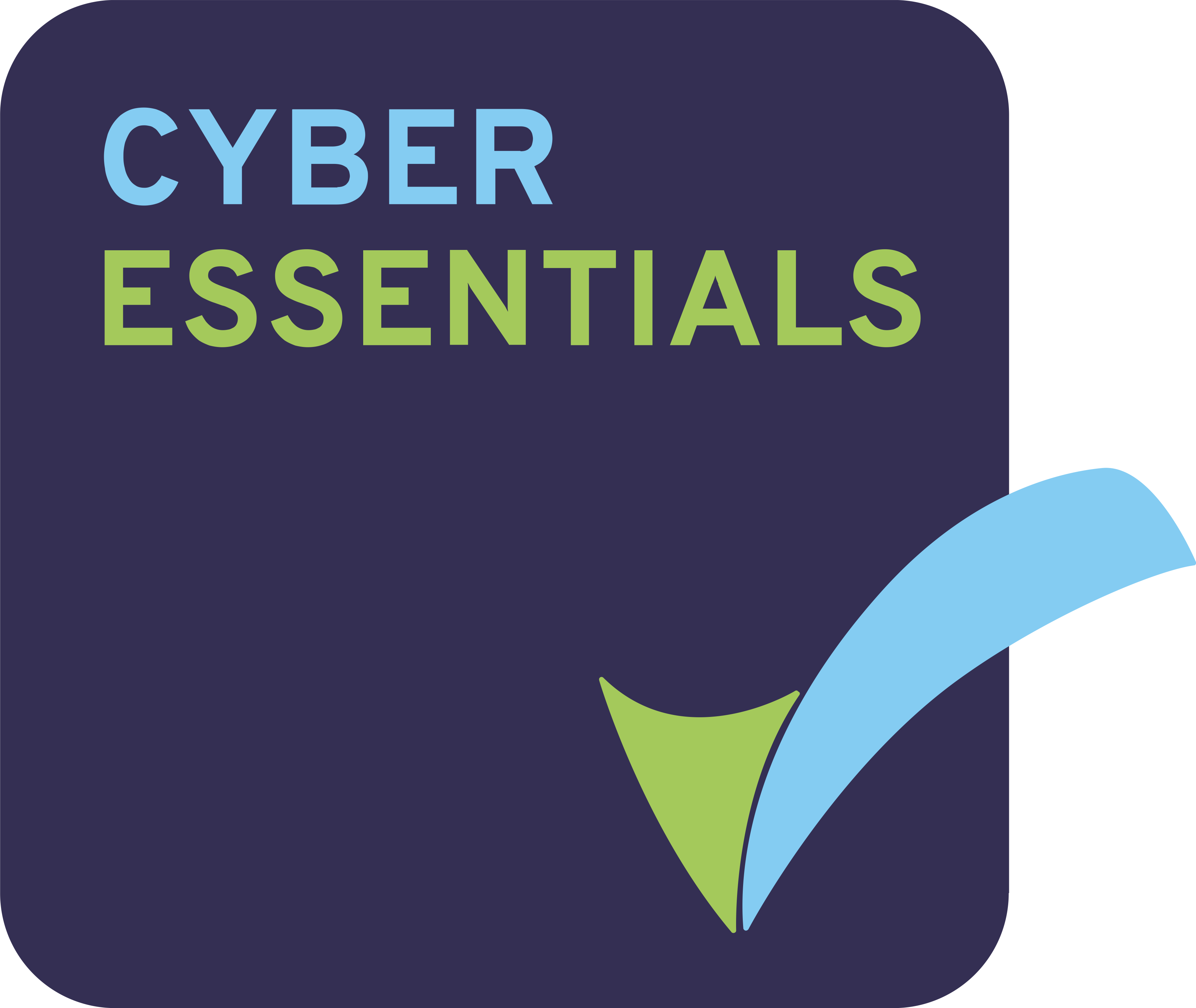 Cyber Esseintials Integrated Skills