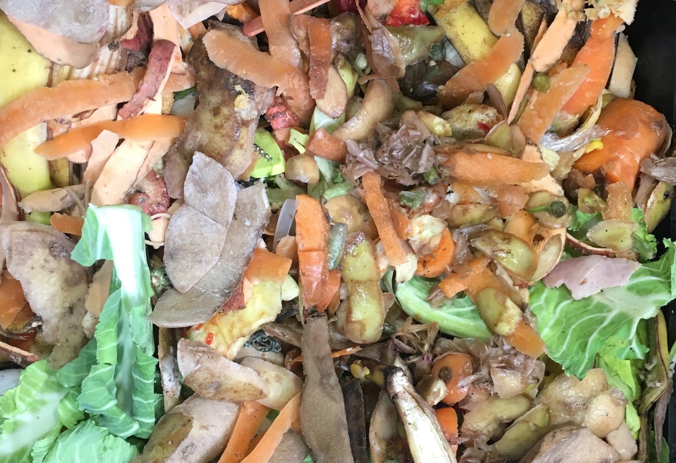 Food Waste Integrated Skills