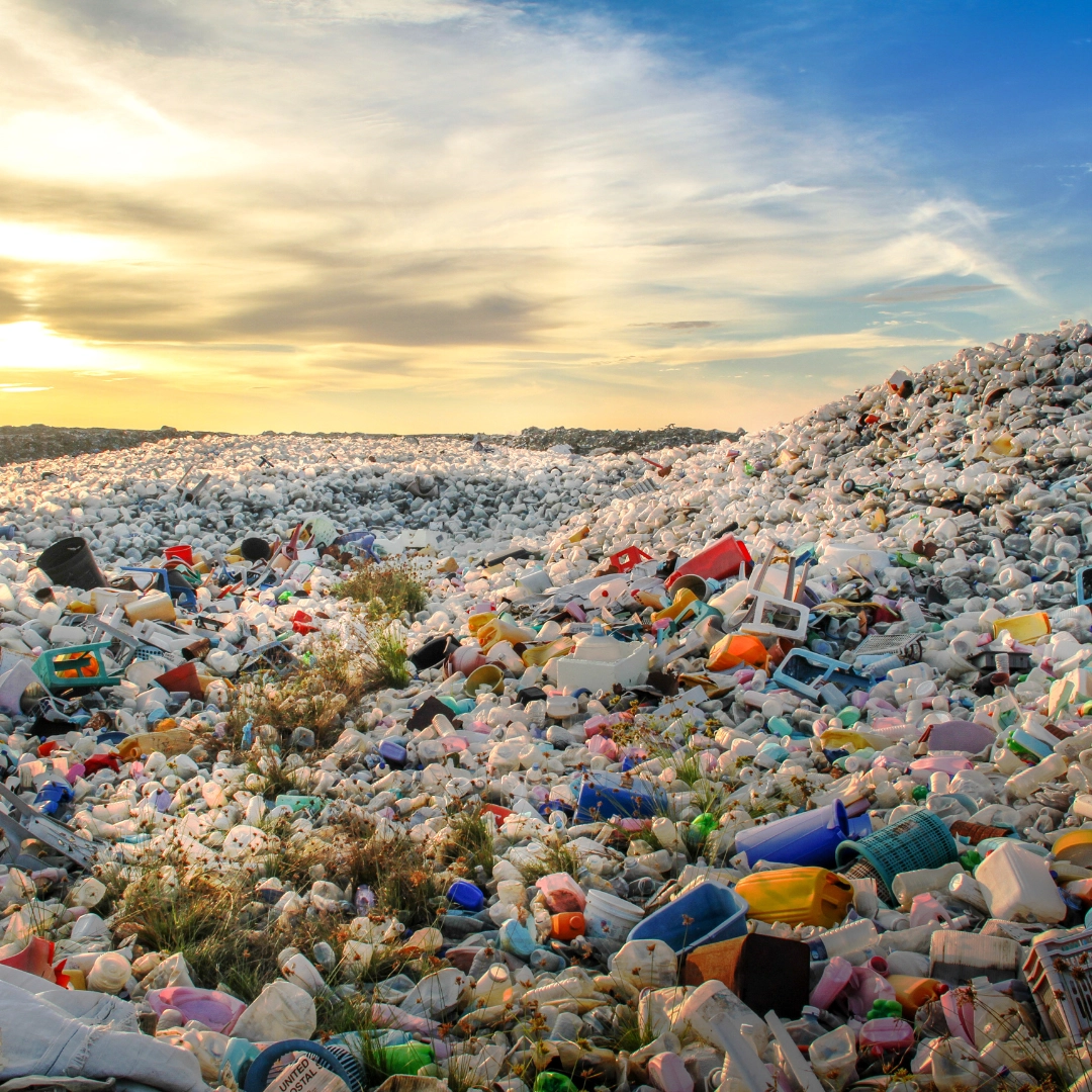 Digital Waste Tracking Integrated Skills